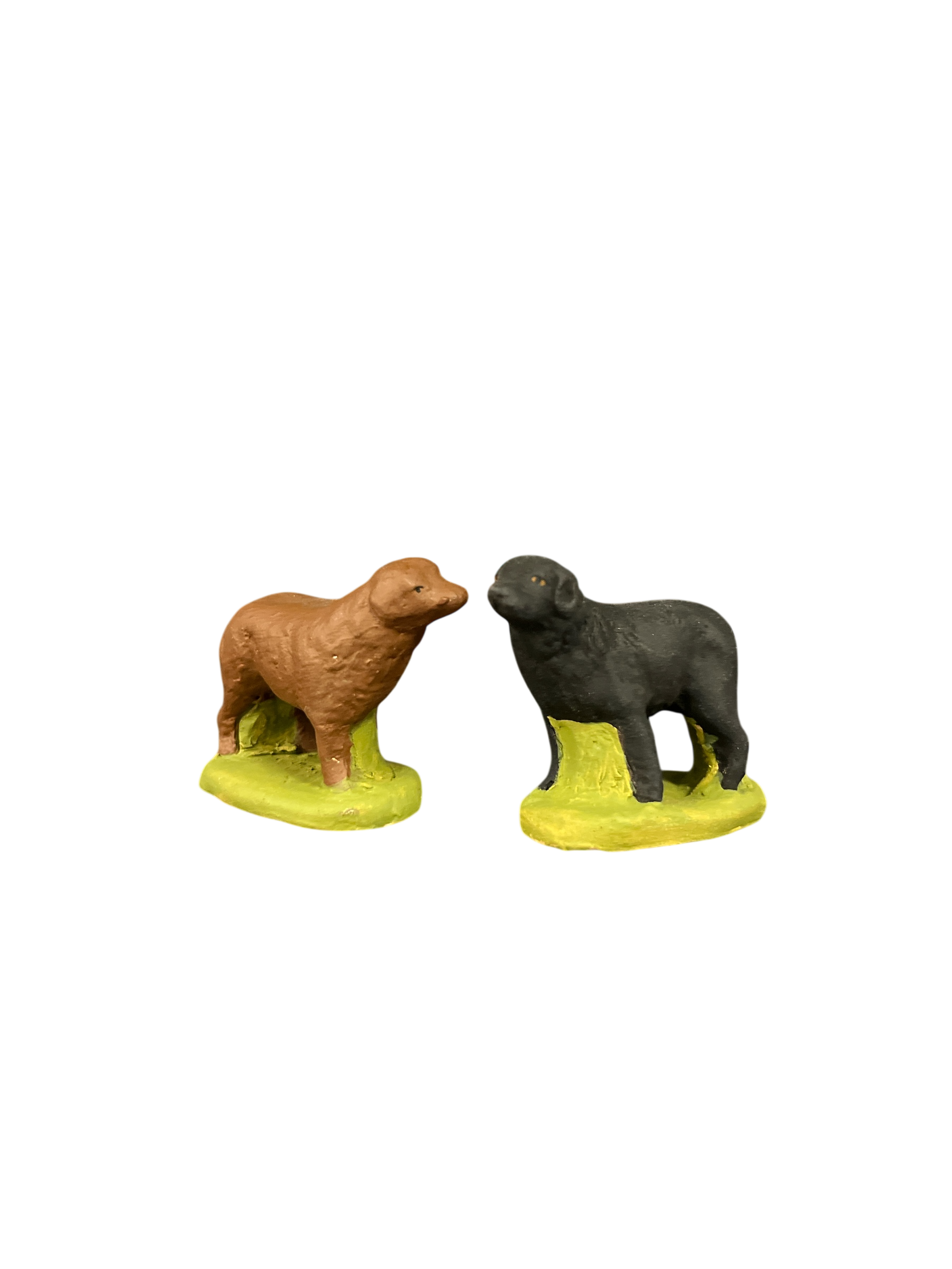 Photoroom_20260121_103405